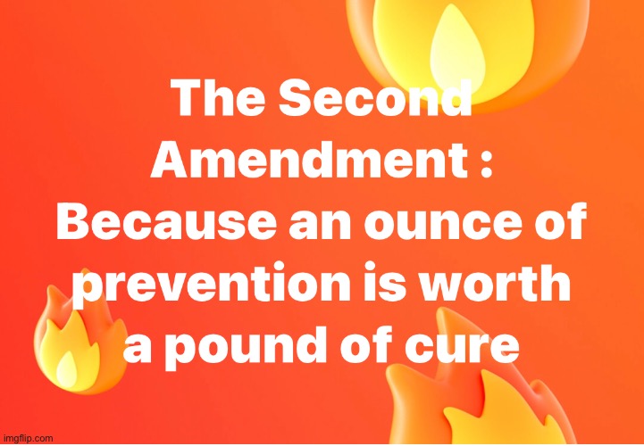 Second to None | image tagged in second amendment,ounce of prevention worth a pound of cure,surprise attacks,criminals,terrorists | made w/ Imgflip meme maker