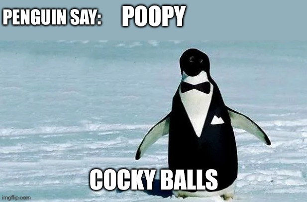 cocky_balls announcement temp | POOPY; COCKY BALLS | image tagged in cocky_balls announcement temp | made w/ Imgflip meme maker
