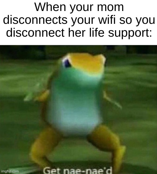 Get nae-nae'd | When your mom disconnects your wifi so you disconnect her life support: | image tagged in get nae-nae'd | made w/ Imgflip meme maker