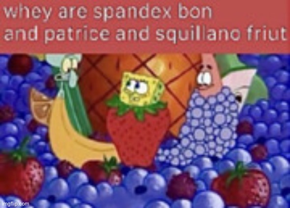 spunch fruit | image tagged in spunch fruit | made w/ Imgflip meme maker
