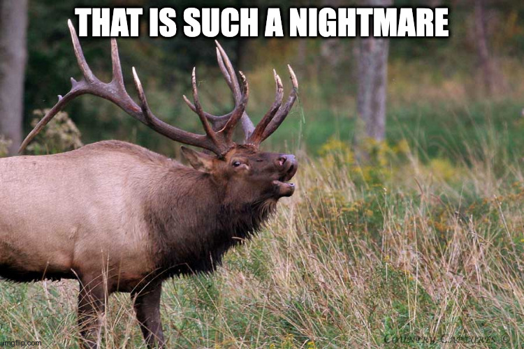 Screaming elk | THAT IS SUCH A NIGHTMARE | image tagged in screaming elk | made w/ Imgflip meme maker