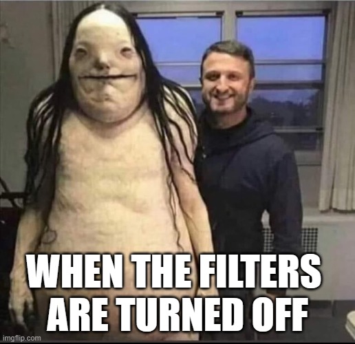 When The Filters Are Turned Off | WHEN THE FILTERS 
ARE TURNED OFF | image tagged in catfish | made w/ Imgflip meme maker