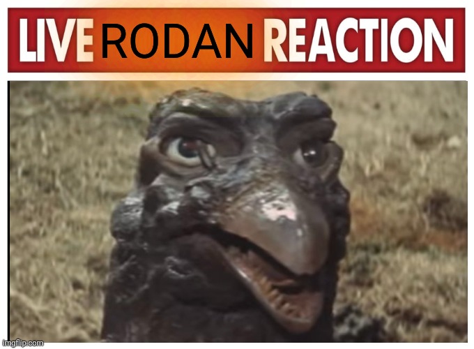 Live Rodan Reaction | RODAN | image tagged in live reaction | made w/ Imgflip meme maker