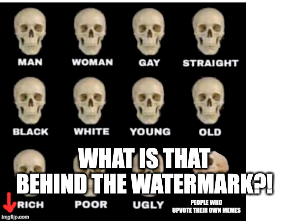 WHAT IS THAT BEHIND THE WATERMARK?! | made w/ Imgflip meme maker