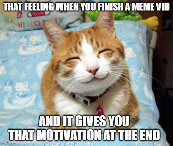 Cute Smiling Cat | THAT FEELING WHEN YOU FINISH A MEME VID; AND IT GIVES YOU THAT MOTIVATION AT THE END | image tagged in cute smiling cat | made w/ Imgflip meme maker