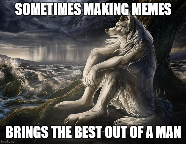 Sitting Wolf | SOMETIMES MAKING MEMES; BRINGS THE BEST OUT OF A MAN | image tagged in sitting wolf | made w/ Imgflip meme maker