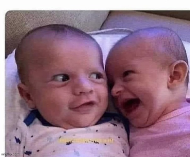 Twins | image tagged in twins | made w/ Imgflip meme maker