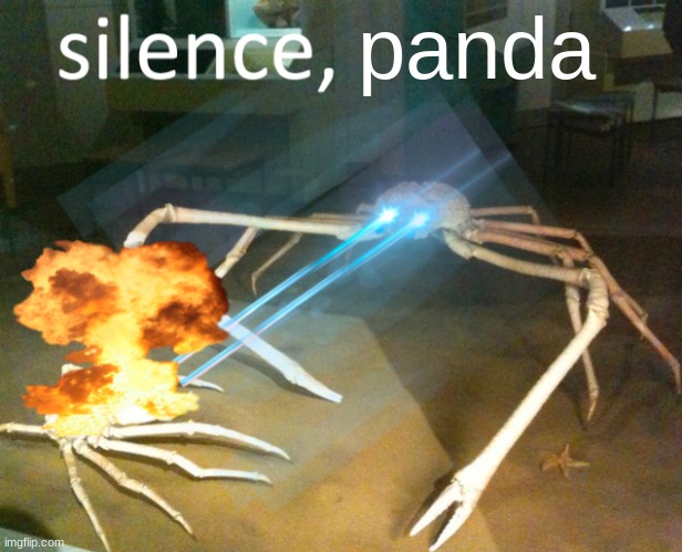 Silence Crab | panda | image tagged in silence crab | made w/ Imgflip meme maker
