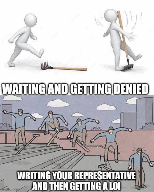 Jump on Rake | WAITING AND GETTING DENIED; WRITING YOUR REPRESENTATIVE AND THEN GETTING A LOI | image tagged in jump on rake | made w/ Imgflip meme maker