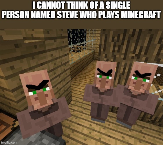 comment & tell me if im wrong.....I'm not | I CANNOT THINK OF A SINGLE PERSON NAMED STEVE WHO PLAYS MINECRAFT | image tagged in minecraft villagers | made w/ Imgflip meme maker