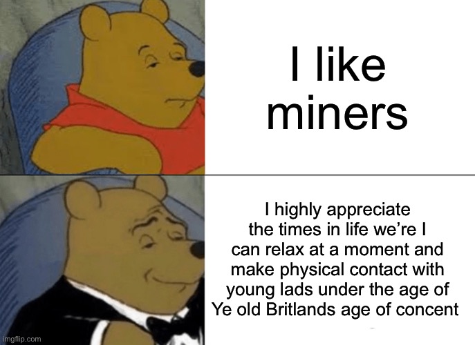 What | I like miners; I highly appreciate the times in life we’re I can relax at a moment and make physical contact with young lads under the age of Ye old Britlands age of concent | image tagged in memes,tuxedo winnie the pooh,dastarminers awesome memes,funny memes,british | made w/ Imgflip meme maker