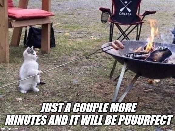 JUST A COUPLE MORE MINUTES AND IT WILL BE PUUURFECT | made w/ Imgflip meme maker