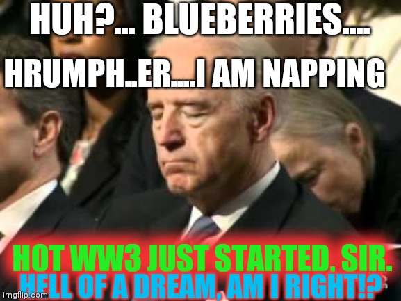 the biden administration is a joke | HUH?... BLUEBERRIES.... HRUMPH..ER....I AM NAPPING; HOT WW3 JUST STARTED, SIR. HELL OF A DREAM, AM I RIGHT!? | image tagged in sleepy joe biden,on purpose,anti semitic | made w/ Imgflip meme maker