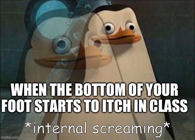 This always happens to me | WHEN THE BOTTOM OF YOUR FOOT STARTS TO ITCH IN CLASS | image tagged in private internal screaming | made w/ Imgflip meme maker