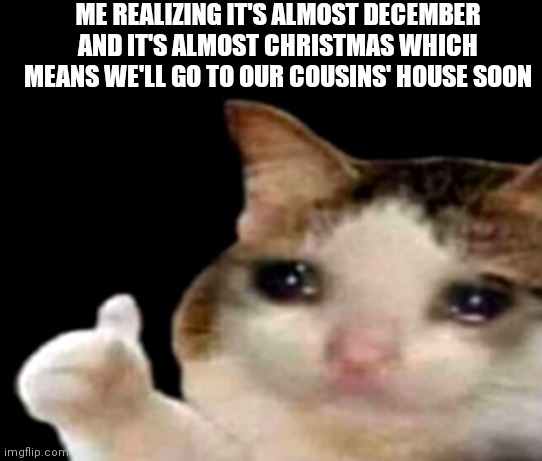 Sad cat thumbs up | ME REALIZING IT'S ALMOST DECEMBER AND IT'S ALMOST CHRISTMAS WHICH MEANS WE'LL GO TO OUR COUSINS' HOUSE SOON | image tagged in sad cat thumbs up | made w/ Imgflip meme maker