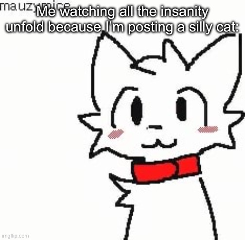 Me watching all the insanity unfold because I’m posting a silly cat: | made w/ Imgflip meme maker