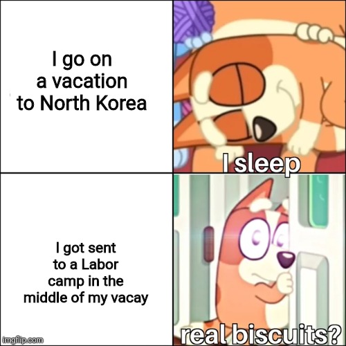 Real Biscuits? | I go on a vacation to North Korea; I got sent to a Labor camp in the middle of my vacay | image tagged in real biscuits,memes,north korea | made w/ Imgflip meme maker