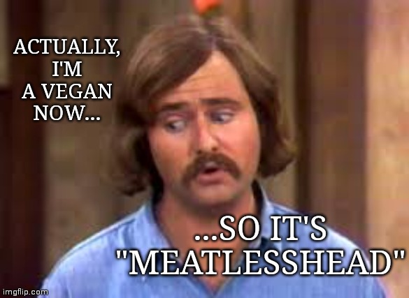 Meathead | ACTUALLY, I'M A VEGAN NOW... ...SO IT'S "MEATLESSHEAD" | image tagged in meathead | made w/ Imgflip meme maker