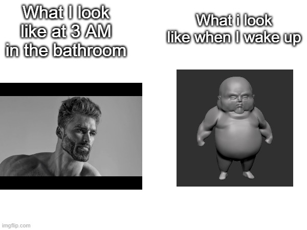 title | What I look like at 3 AM in the bathroom; What i look like when I wake up | image tagged in funny | made w/ Imgflip meme maker