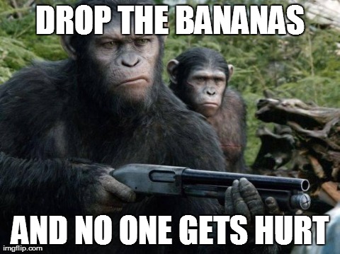 DROP THE BANANAS AND NO ONE GETS HURT | image tagged in funny | made w/ Imgflip meme maker