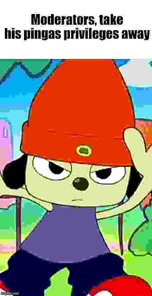 Mods, take his pingas privileges away Blank Meme Template