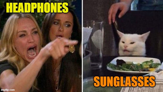 Woman yelling at cat | HEADPHONES SUNGLASSES | image tagged in woman yelling at cat | made w/ Imgflip meme maker