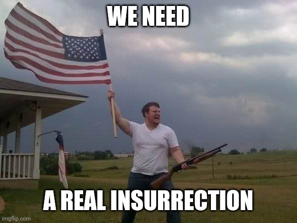 American flag shotgun guy | WE NEED A REAL INSURRECTION | image tagged in american flag shotgun guy | made w/ Imgflip meme maker