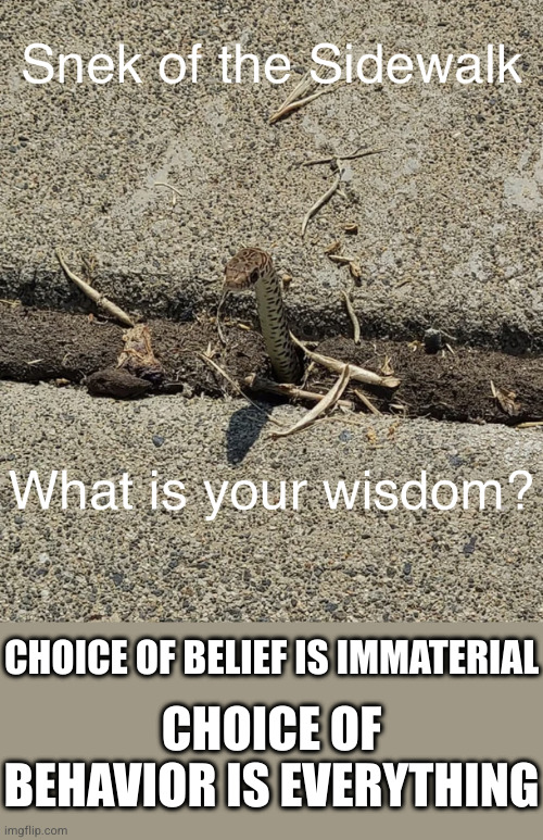 Sidewalk snek has hard time putting his finger on precisely how this pertains to atheism. Maybe just good advice for everyone | CHOICE OF BELIEF IS IMMATERIAL; CHOICE OF BEHAVIOR IS EVERYTHING | image tagged in snek of the sidewalk | made w/ Imgflip meme maker