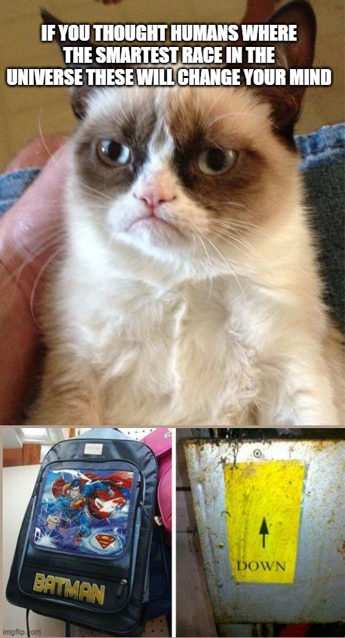 Grumpy Cat Meme | IF YOU THOUGHT HUMANS WHERE THE SMARTEST RACE IN THE UNIVERSE THESE WILL CHANGE YOUR MIND | image tagged in memes,grumpy cat | made w/ Imgflip meme maker