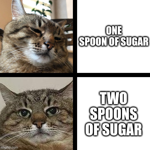 Spoons of sugar | ONE SPOON OF SUGAR; TWO SPOONS OF SUGAR | image tagged in stepan cat,sugar,tea,coffee | made w/ Imgflip meme maker