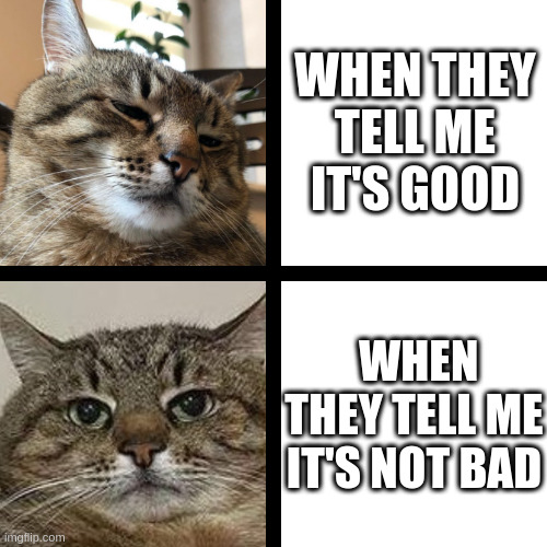 Not bad | WHEN THEY TELL ME IT'S GOOD; WHEN THEY TELL ME IT'S NOT BAD | image tagged in stepan cat,good,not bad | made w/ Imgflip meme maker