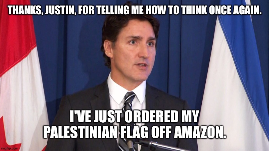 No myocarditis for me, either. | THANKS, JUSTIN, FOR TELLING ME HOW TO THINK ONCE AGAIN. I'VE JUST ORDERED MY PALESTINIAN FLAG OFF AMAZON. | image tagged in israel | made w/ Imgflip meme maker