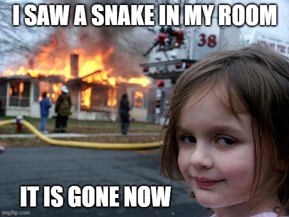 Possible solution in Australia? | I SAW A SNAKE IN MY ROOM; IT IS GONE NOW | image tagged in memes,disaster girl | made w/ Imgflip meme maker