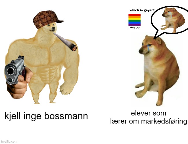 Buff Doge vs. Cheems Meme | elever som lærer om markedsføring; kjell inge bossmann | image tagged in memes,buff doge vs cheems | made w/ Imgflip meme maker