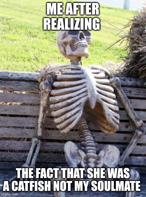 Waiting Skeleton | ME AFTER REALIZING; THE FACT THAT SHE WAS A CATFISH NOT MY SOULMATE | image tagged in memes,waiting skeleton | made w/ Imgflip meme maker