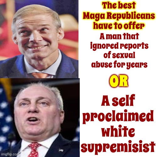Maga Clowns | The best Maga Republicans have to offer; A man that ignored reports of sexual abuse for years; OR; A self proclaimed white supremisist | image tagged in memes,drake hotline bling,scumbag maga,scumbag trump,scumbag republicans,lock him up | made w/ Imgflip meme maker