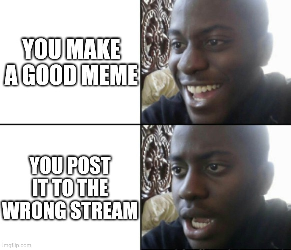 Happy / Shock | YOU MAKE A GOOD MEME; YOU POST IT TO THE WRONG STREAM | image tagged in happy / shock | made w/ Imgflip meme maker