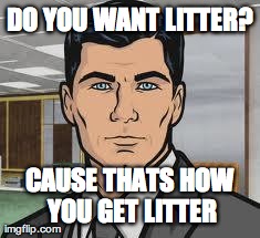 Archer Meme | DO YOU WANT LITTER? CAUSE THATS HOW YOU GET LITTER | image tagged in archer | made w/ Imgflip meme maker