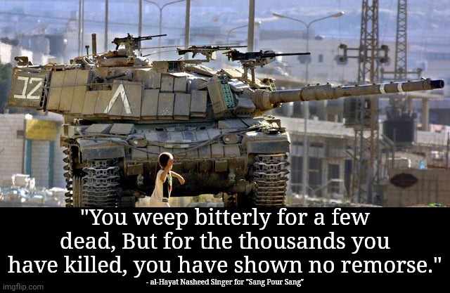 quote go brr | "You weep bitterly for a few dead, But for the thousands you have killed, you have shown no remorse."; - al-Hayat Nasheed Singer for "Sang Pour Sang" | image tagged in palestinian child throwing a rock at an israeli tank | made w/ Imgflip meme maker