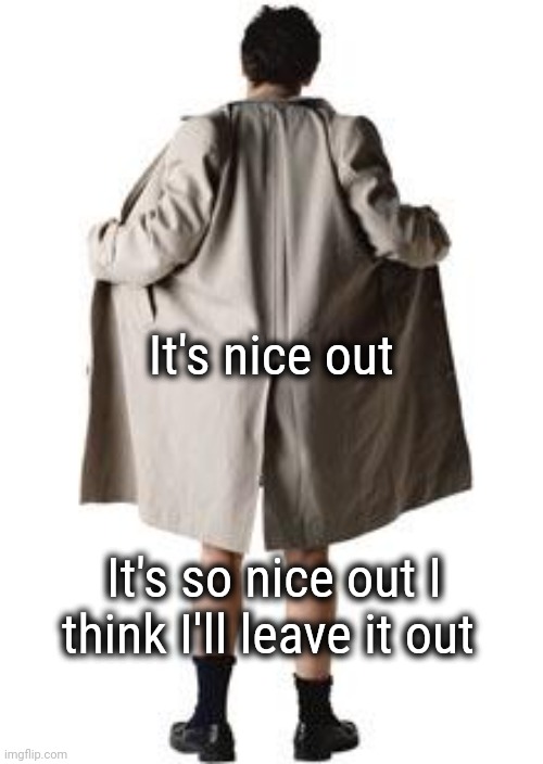 flasher | It's nice out It's so nice out I think I'll leave it out | image tagged in flasher | made w/ Imgflip meme maker