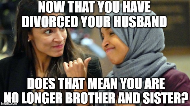 Goats vs Brothers | NOW THAT YOU HAVE DIVORCED YOUR HUSBAND; DOES THAT MEAN YOU ARE NO LONGER BROTHER AND SISTER? | image tagged in goats vs brothers | made w/ Imgflip meme maker