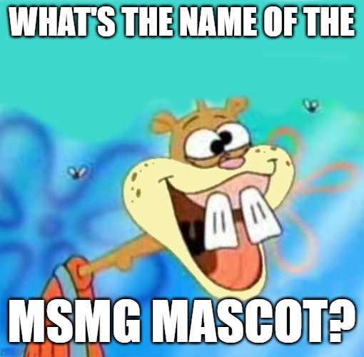 WHAT'S THE NAME OF THE; MSMG MASCOT? | image tagged in stupid | made w/ Imgflip meme maker