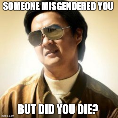 But did you die? | SOMEONE MISGENDERED YOU; BUT DID YOU DIE? | image tagged in but did you die | made w/ Imgflip meme maker