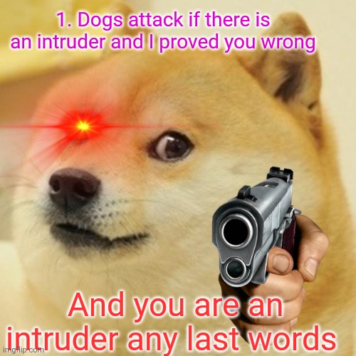 Doge Meme | 1. Dogs attack if there is an intruder and I proved you wrong And you are an intruder any last words | image tagged in memes,doge | made w/ Imgflip meme maker