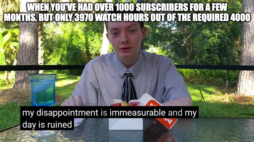 YouTube monetisation be like.... | WHEN YOU'VE HAD OVER 1000 SUBSCRIBERS FOR A FEW MONTHS, BUT ONLY 3970 WATCH HOURS OUT OF THE REQUIRED 4000 | image tagged in my disappointment is immeasurable,youtube,algorithm,monetisation | made w/ Imgflip meme maker