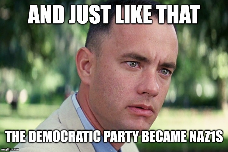 And Just Like That Meme | AND JUST LIKE THAT; THE DEMOCRATIC PARTY BECAME NAZ1S | image tagged in memes,and just like that | made w/ Imgflip meme maker