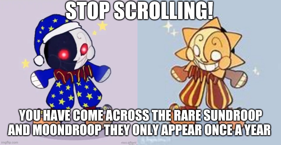 Image Title | STOP SCROLLING! YOU HAVE COME ACROSS THE RARE SUNDROOP AND MOONDROOP THEY ONLY APPEAR ONCE A YEAR | image tagged in moondroop,sundroop | made w/ Imgflip meme maker