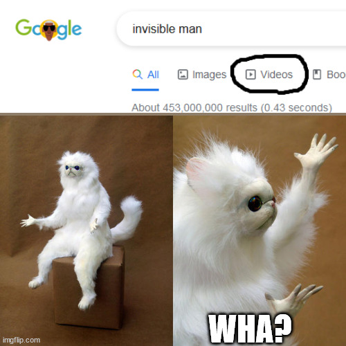 I see what you mean | WHA? | image tagged in memes,persian cat room guardian,the invisible man,videos,oh wow are you actually reading these tags | made w/ Imgflip meme maker