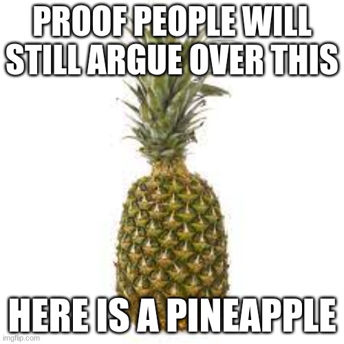 I swear if somebody argues over this i will actually go insane | PROOF PEOPLE WILL STILL ARGUE OVER THIS; HERE IS A PINEAPPLE | image tagged in pineapple,argue | made w/ Imgflip meme maker