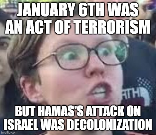 SJW | JANUARY 6TH WAS AN ACT OF TERRORISM; BUT HAMAS'S ATTACK ON ISRAEL WAS DECOLONIZATION | image tagged in sjw,palestine,israel | made w/ Imgflip meme maker